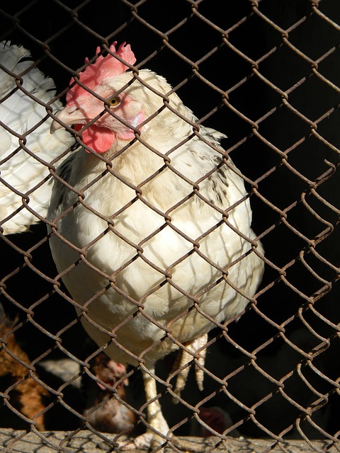 圈的热门话 圈的热门话