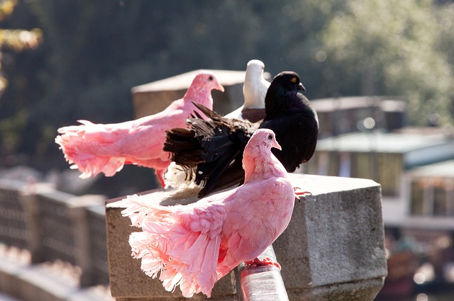 心态和球队 心态和球队