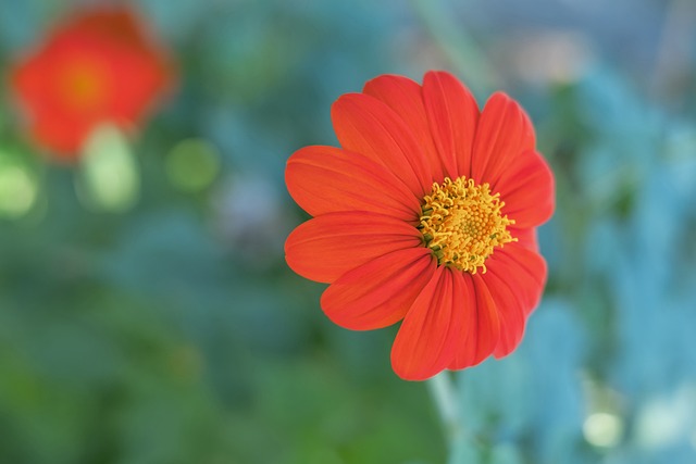 的比赛中 的比赛中