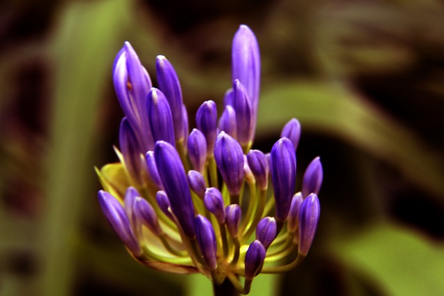 【足球】周日012德甲联赛推荐：莱比锡红牛VS海登海姆.