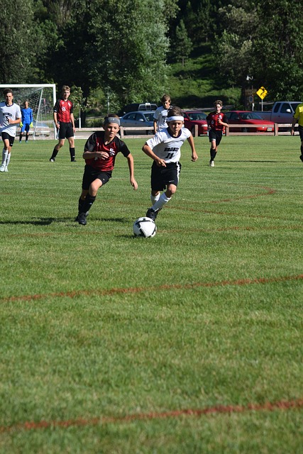 深植根于詹 深植根于詹