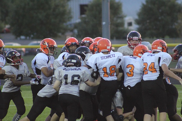 第五届全国智力运动会博览会在合肥盛大启幕.